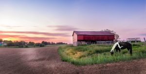 Farm and Ranch Insurance Image